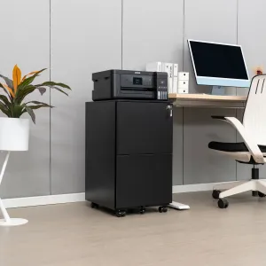 2 Drawer File Cabinet With Lock, Steel Mobile Filing Cabinet On Anti - Tilt Wheels, Rolling Locking Office Cabinets Under Desk For Legal / Letter Size by Couch.com