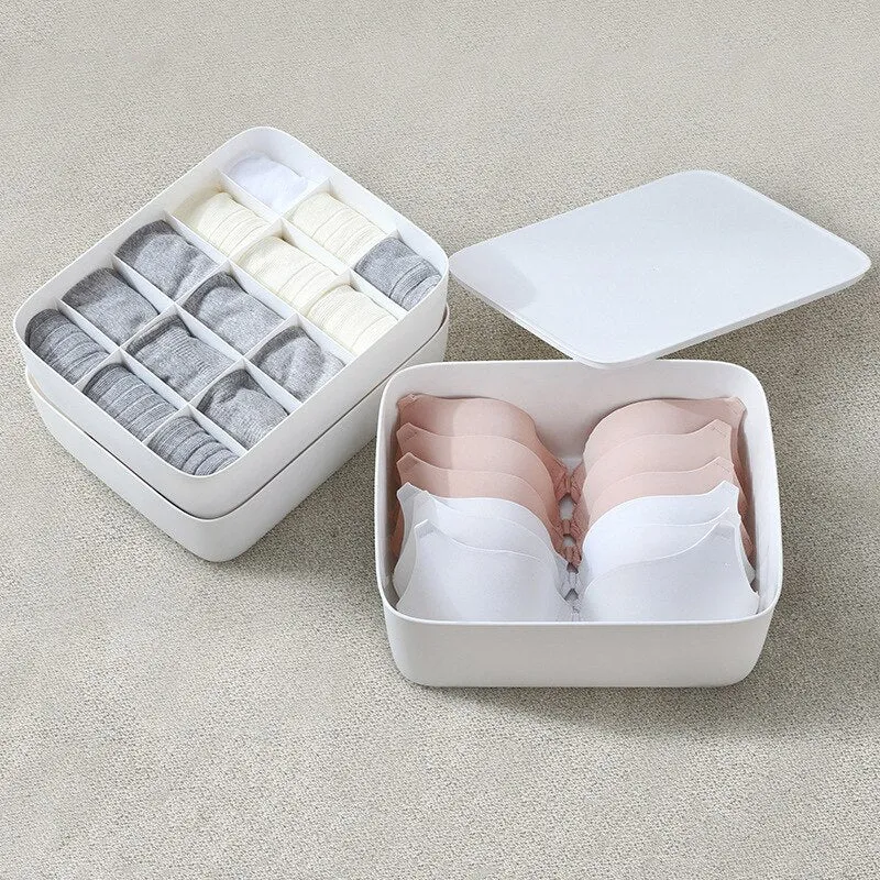 Delicates Closet Organizer