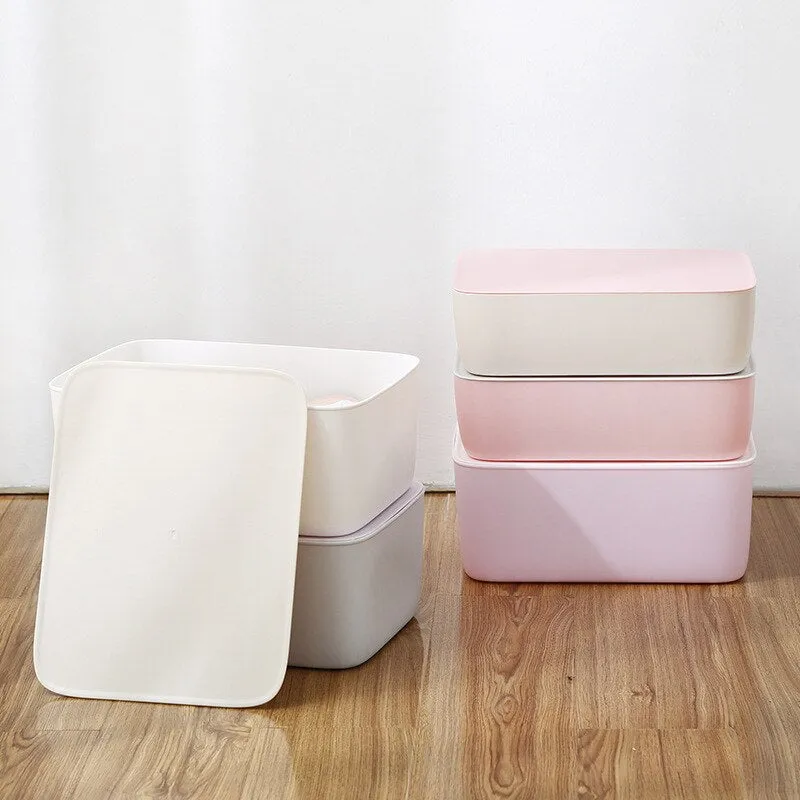 Delicates Closet Organizer