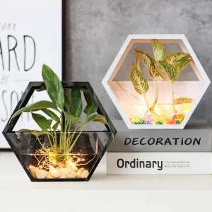 Wall Mounted Plant Pot